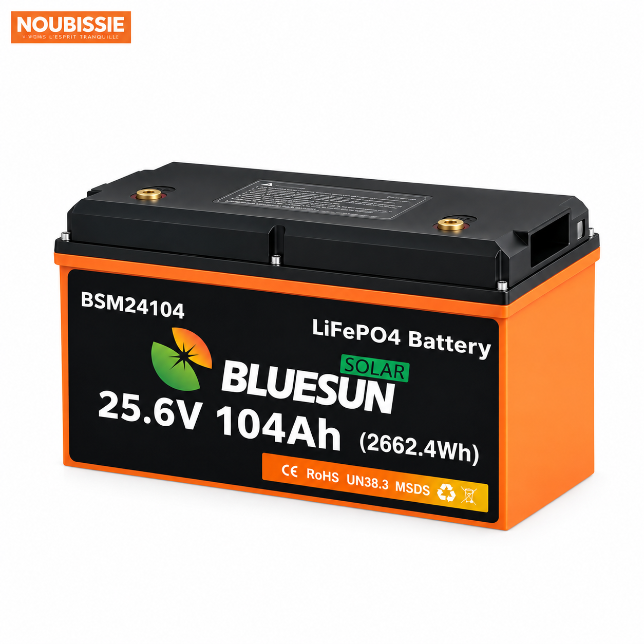 Batterie de stockage Lithium BSM24104