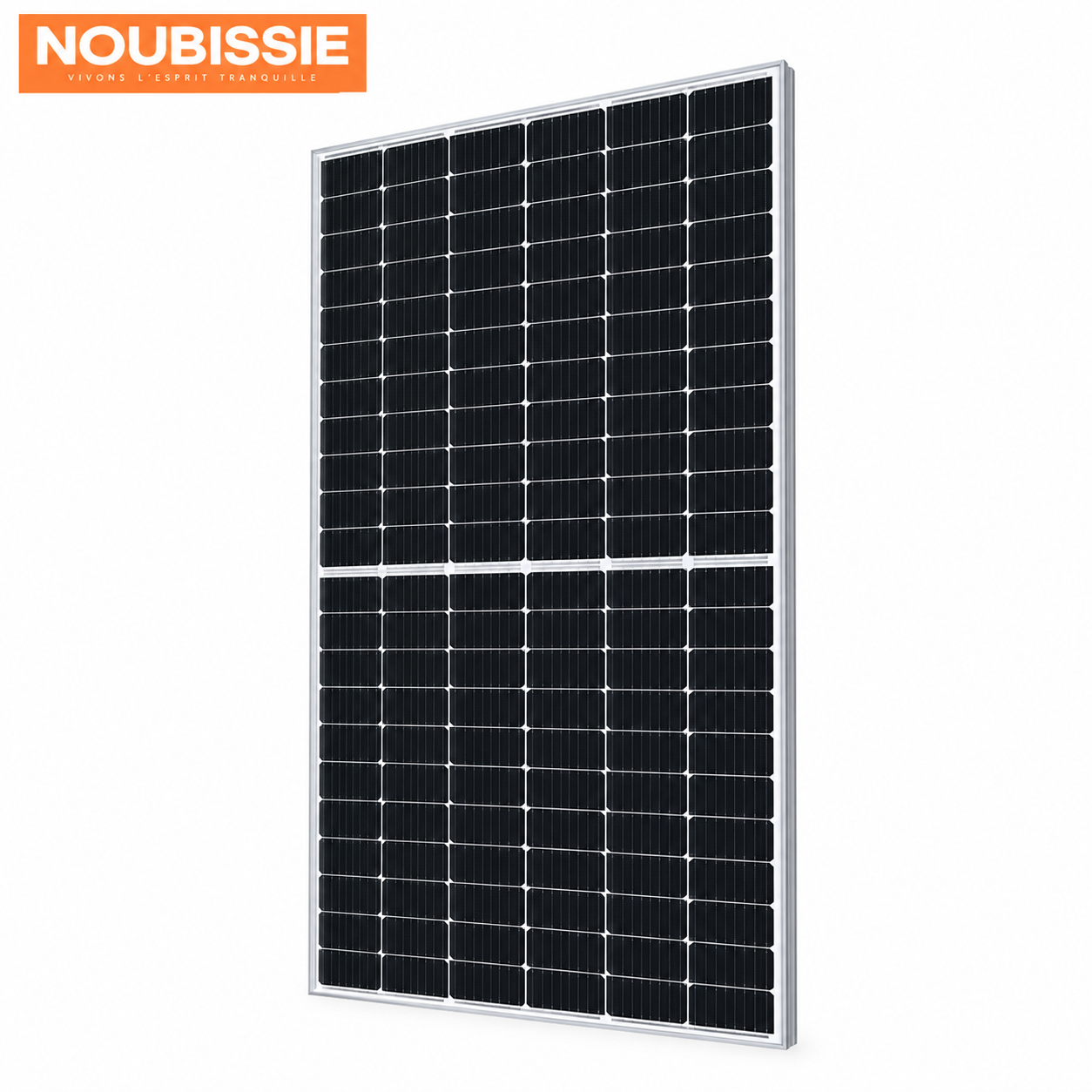 Panneaux photovoltaïque BSM570M10-72HPH