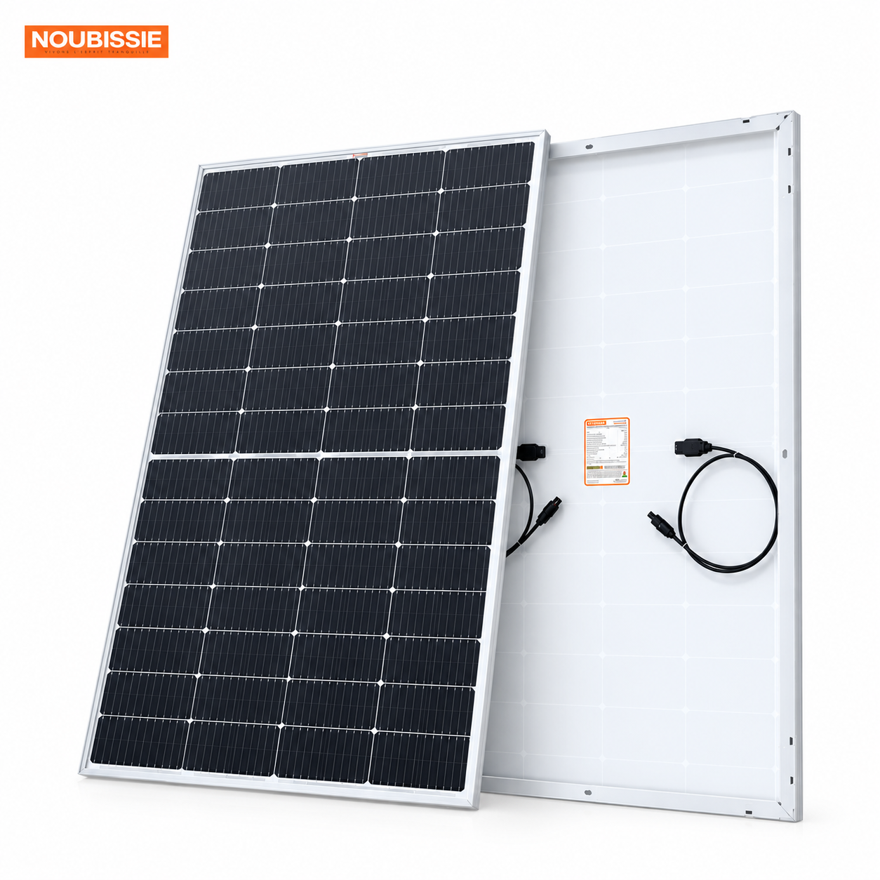 Panneaux photovoltaïque Mono 450Wc