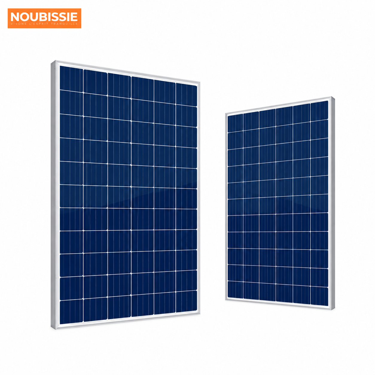 Panneaux photovoltaïque SPM-250W