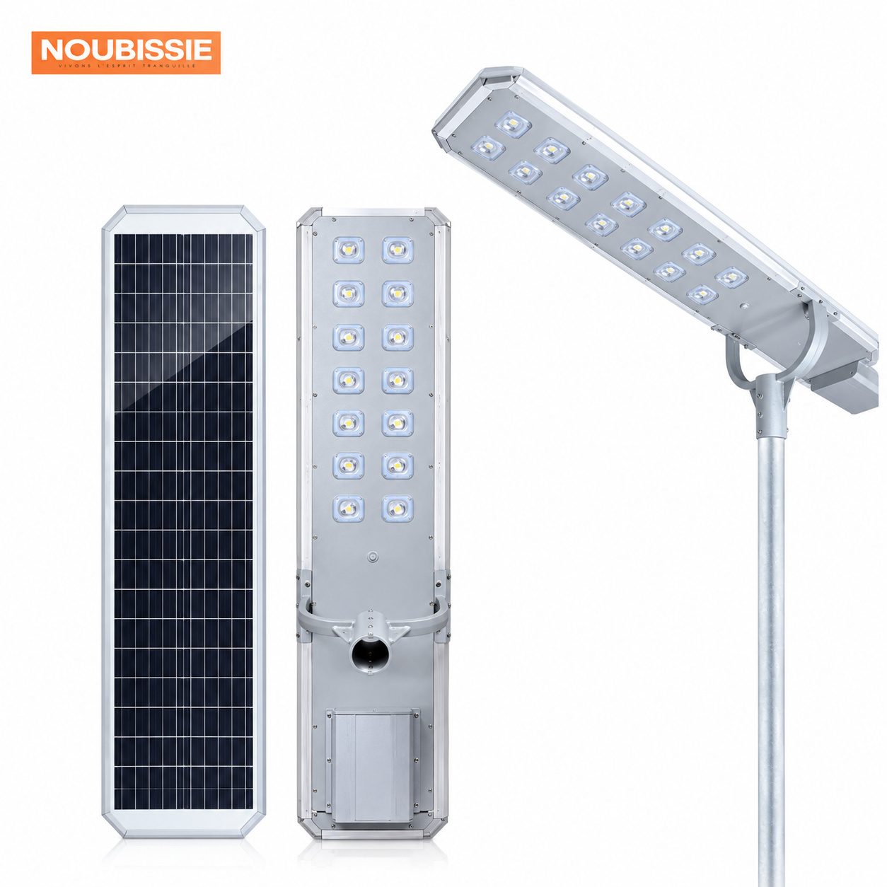 Projecteur solaire d2-100w-s